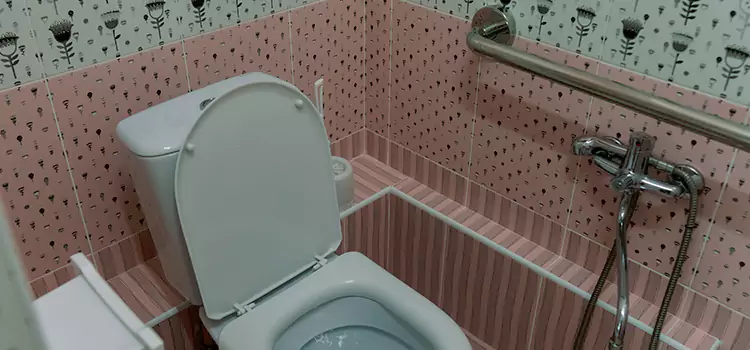 Meeting Diverse Needs With Accessible Restroom Solutions in West Puente Valley, CA
