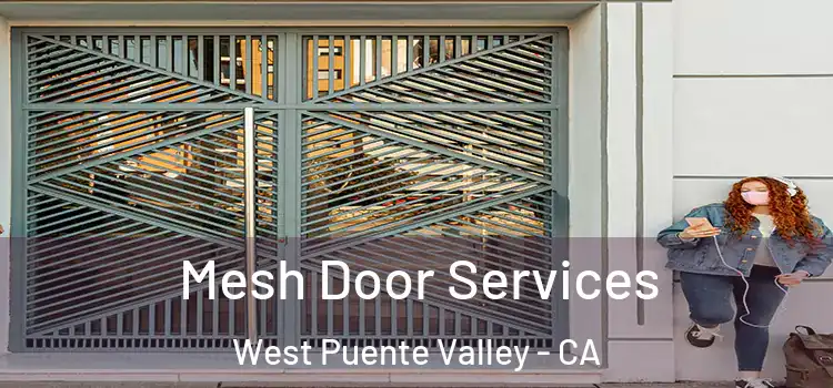  Mesh Door Services West Puente Valley - CA